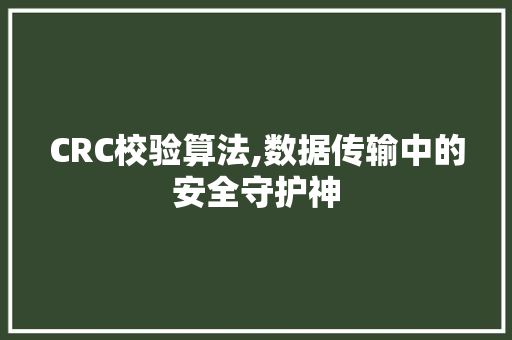 CRC校验算法,数据传输中的安全守护神