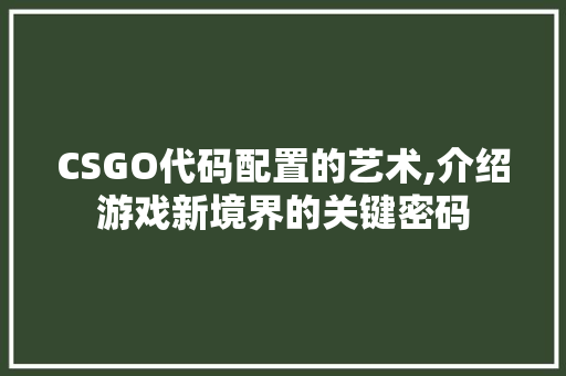 CSGO代码配置的艺术,介绍游戏新境界的关键密码