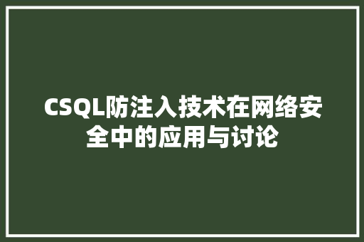 CSQL防注入技术在网络安全中的应用与讨论