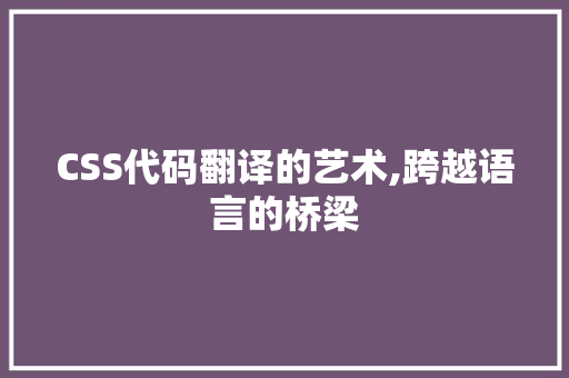 CSS代码翻译的艺术,跨越语言的桥梁