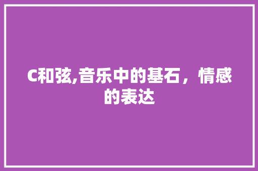 C和弦,音乐中的基石，情感的表达