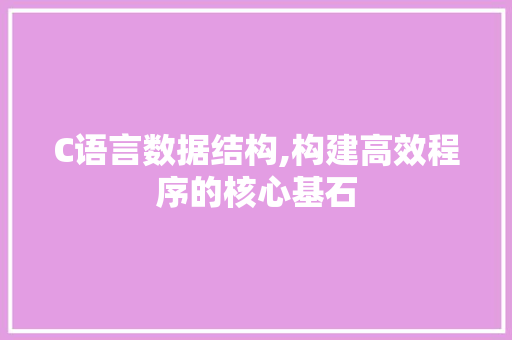 C语言数据结构,构建高效程序的核心基石