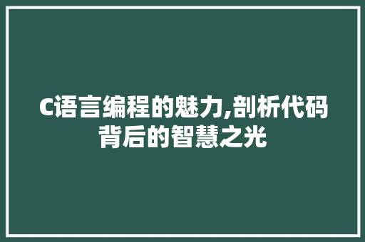 C语言编程的魅力,剖析代码背后的智慧之光