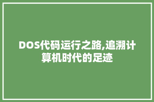 DOS代码运行之路,追溯计算机时代的足迹