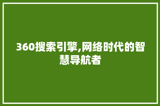 360搜索引擎,网络时代的智慧导航者