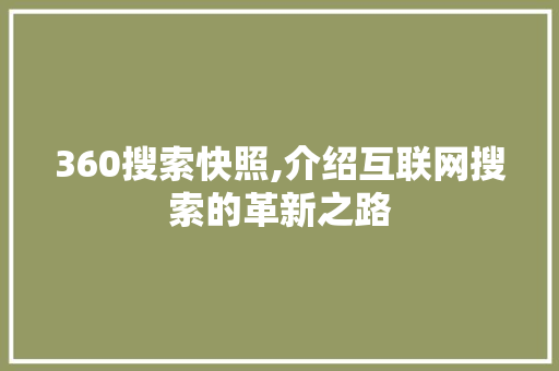 360搜索快照,介绍互联网搜索的革新之路