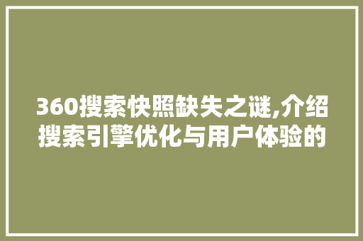 360搜索快照缺失之谜,介绍搜索引擎优化与用户体验的微妙关系