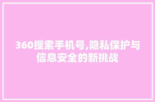 360搜索手机号,隐私保护与信息安全的新挑战