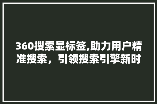 360搜索显标签,助力用户精准搜索，引领搜索引擎新时代