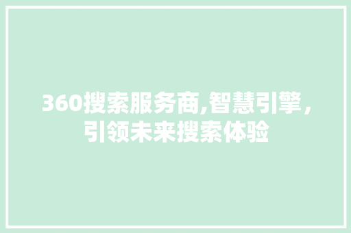 360搜索服务商,智慧引擎，引领未来搜索体验