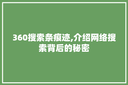 360搜索条痕迹,介绍网络搜索背后的秘密