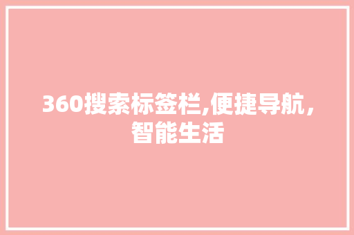 360搜索标签栏,便捷导航，智能生活