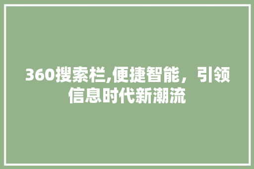 360搜索栏,便捷智能，引领信息时代新潮流