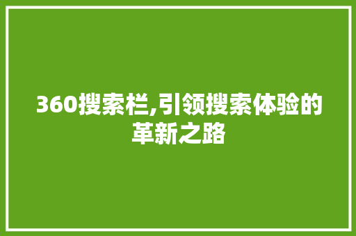 360搜索栏,引领搜索体验的革新之路