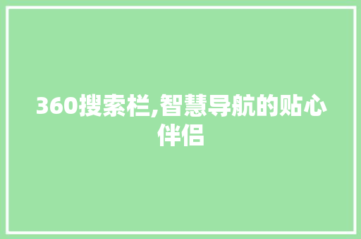 360搜索栏,智慧导航的贴心伴侣