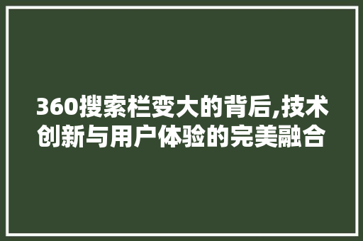 360搜索栏变大的背后,技术创新与用户体验的完美融合