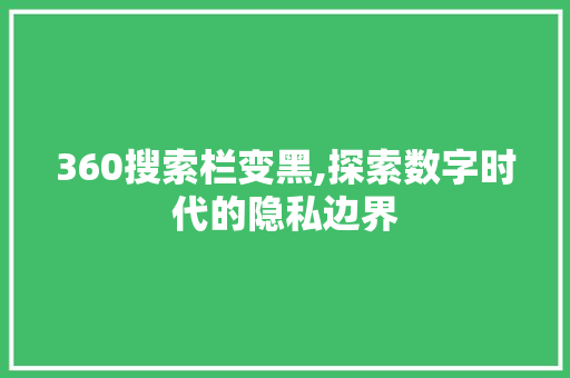 360搜索栏变黑,探索数字时代的隐私边界