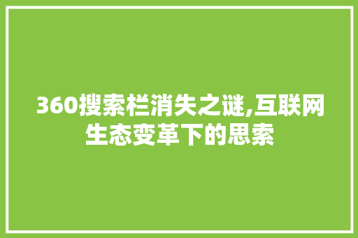 360搜索栏消失之谜,互联网生态变革下的思索