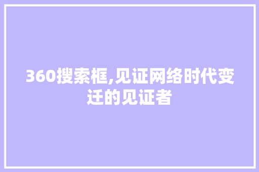 360搜索框,见证网络时代变迁的见证者