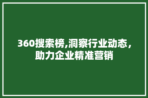 360搜索榜,洞察行业动态，助力企业精准营销