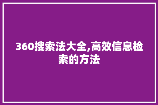 360搜索法大全,高效信息检索的方法