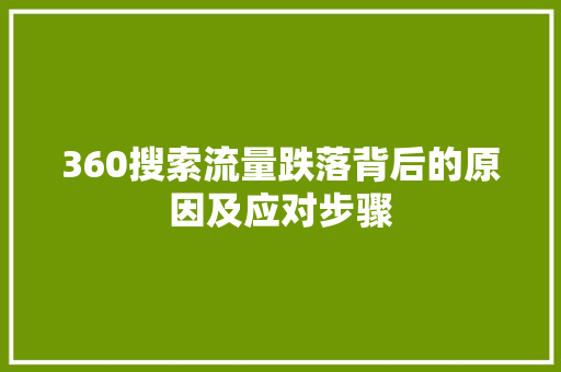 360搜索流量跌落背后的原因及应对步骤