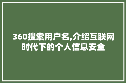 360搜索用户名,介绍互联网时代下的个人信息安全