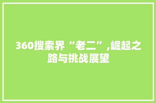 360搜索界“老二”,崛起之路与挑战展望