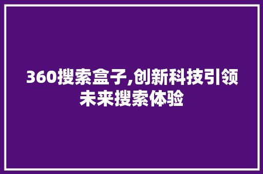 360搜索盒子,创新科技引领未来搜索体验