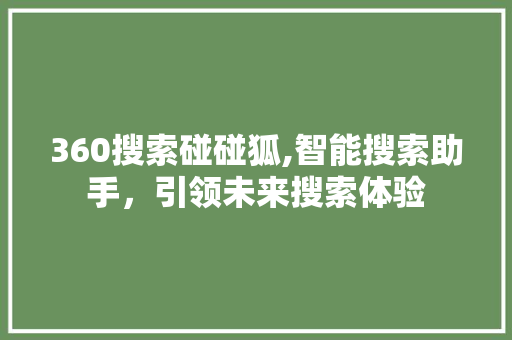 360搜索碰碰狐,智能搜索助手，引领未来搜索体验