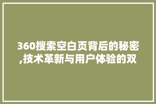 360搜索空白页背后的秘密,技术革新与用户体验的双重考量