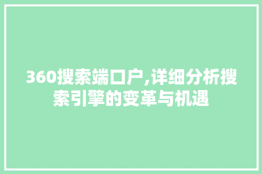 360搜索端口户,详细分析搜索引擎的变革与机遇