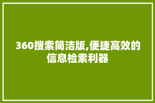 360搜索简洁版,便捷高效的信息检索利器