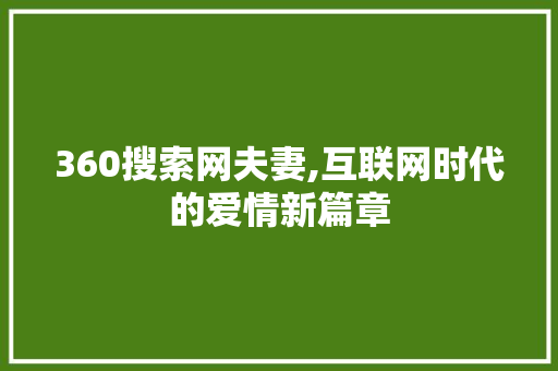 360搜索网夫妻,互联网时代的爱情新篇章