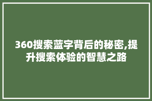 360搜索蓝字背后的秘密,提升搜索体验的智慧之路