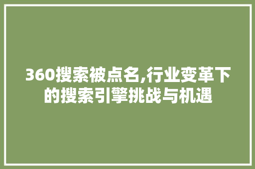 360搜索被点名,行业变革下的搜索引擎挑战与机遇