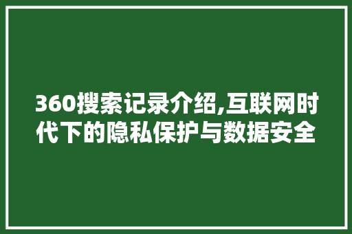 360搜索记录介绍,互联网时代下的隐私保护与数据安全