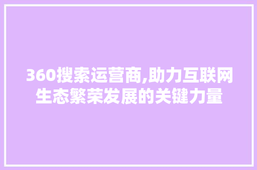 360搜索运营商,助力互联网生态繁荣发展的关键力量