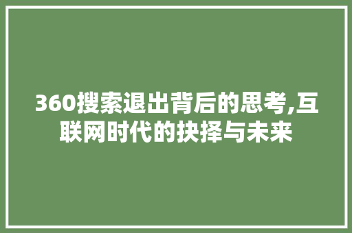 360搜索退出背后的思考,互联网时代的抉择与未来