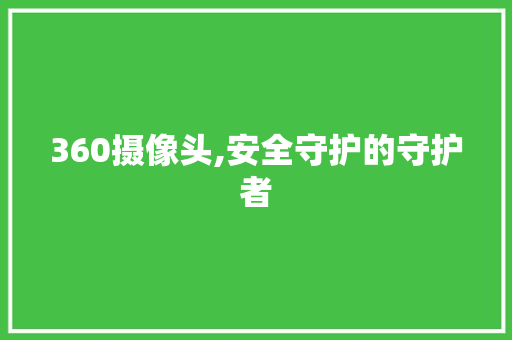 360摄像头,安全守护的守护者