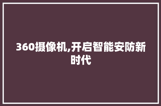 360摄像机,开启智能安防新时代