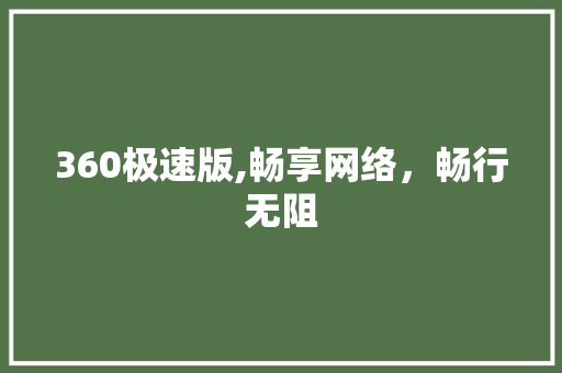 360极速版,畅享网络，畅行无阻