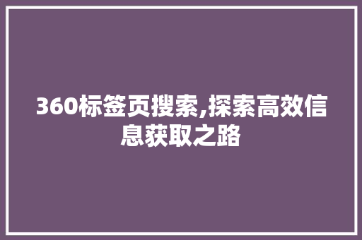 360标签页搜索,探索高效信息获取之路