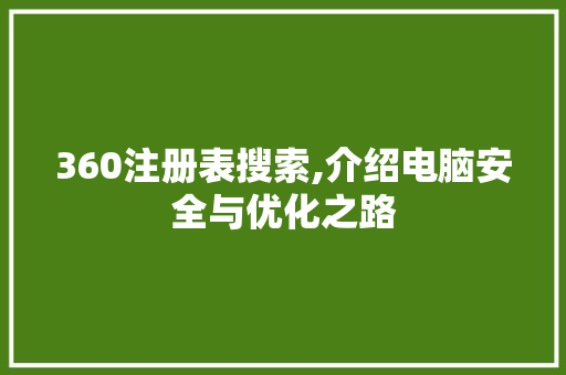 360注册表搜索,介绍电脑安全与优化之路