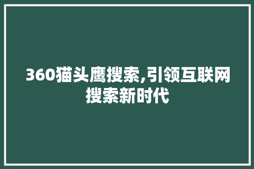 360猫头鹰搜索,引领互联网搜索新时代