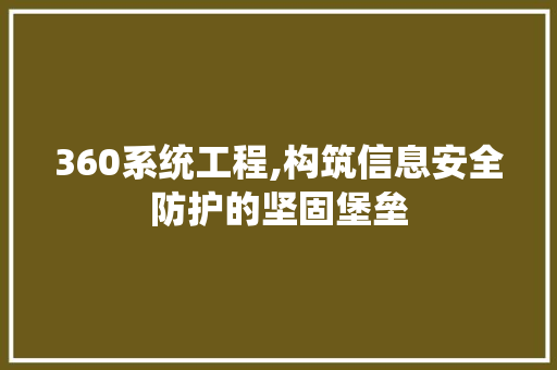 360系统工程,构筑信息安全防护的坚固堡垒