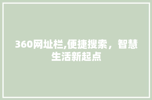 360网址栏,便捷搜索，智慧生活新起点