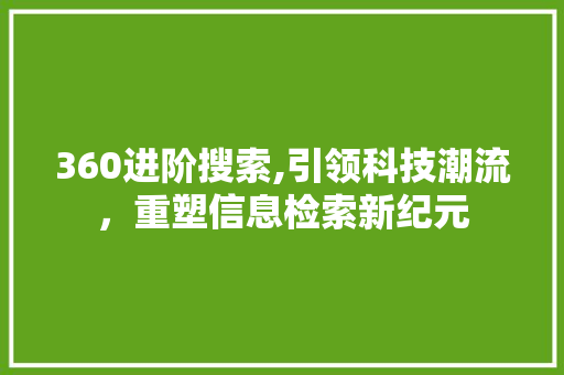 360进阶搜索,引领科技潮流，重塑信息检索新纪元