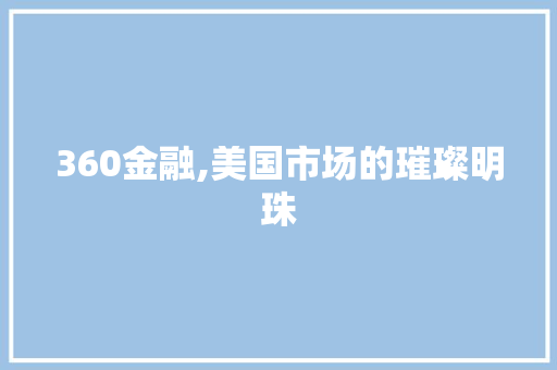 360金融,美国市场的璀璨明珠