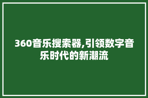 360音乐搜索器,引领数字音乐时代的新潮流